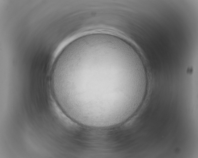 X0000111781514200909031120