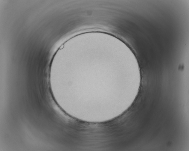 X0000111781516200909031120