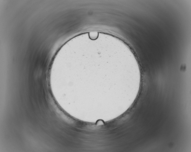 X0000111781517200909031120