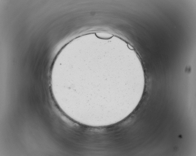 X0000111781519200909031120