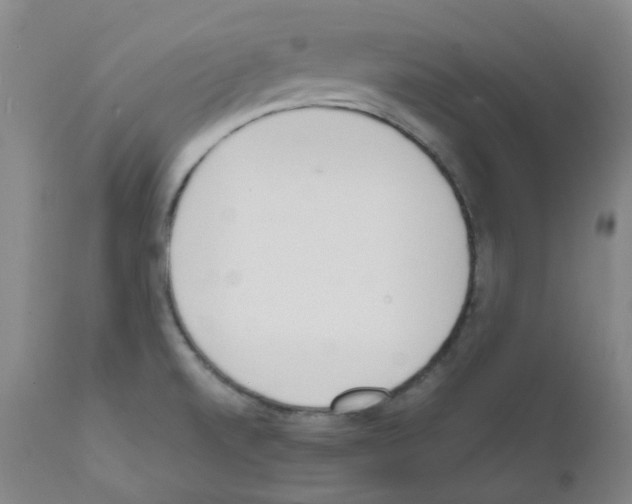 X0000111781520200909031120