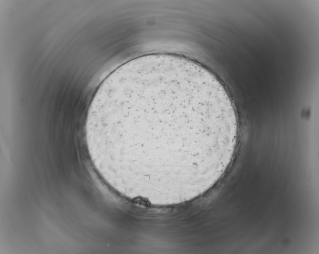 X0000111781521200909031120