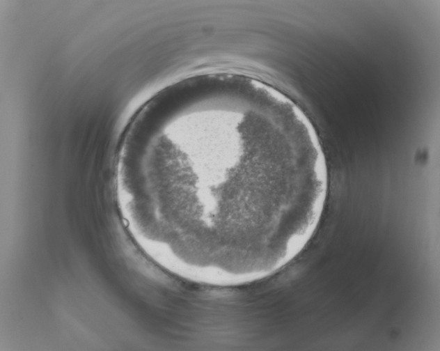X0000111781522200909031120