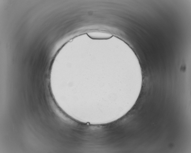 X0000111781523200909031120
