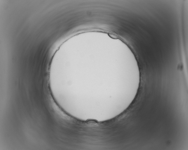 X0000111781524200909031120