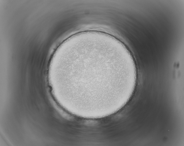 X0000111781525200909031120