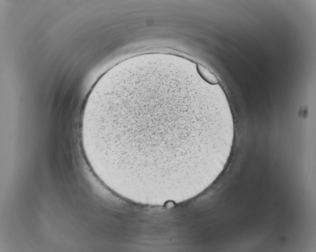 X0000111781526200909031120