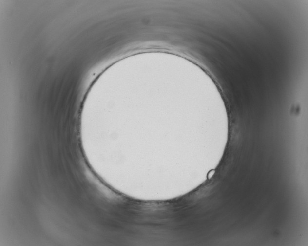 X0000111781527200909031120