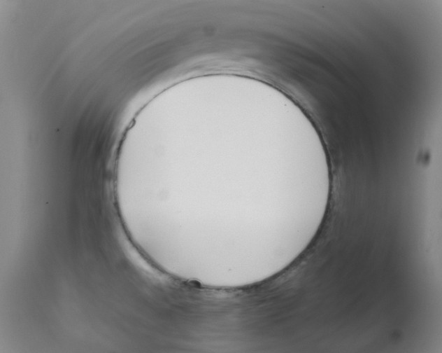 X0000111781528200909031120