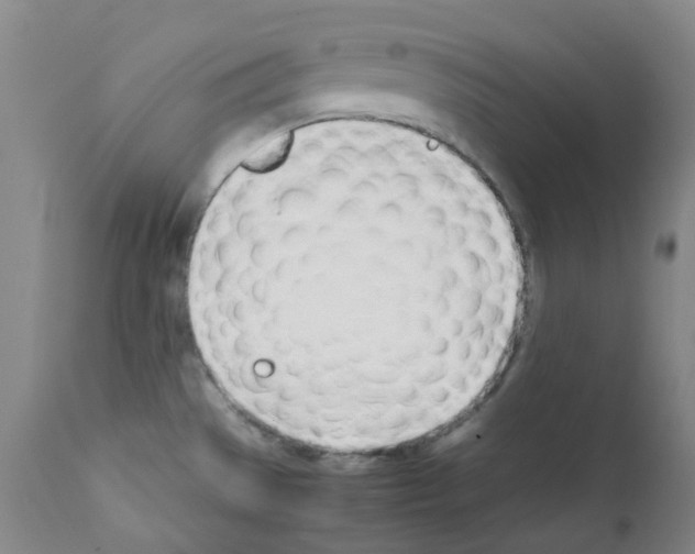 X0000111781529200909031120