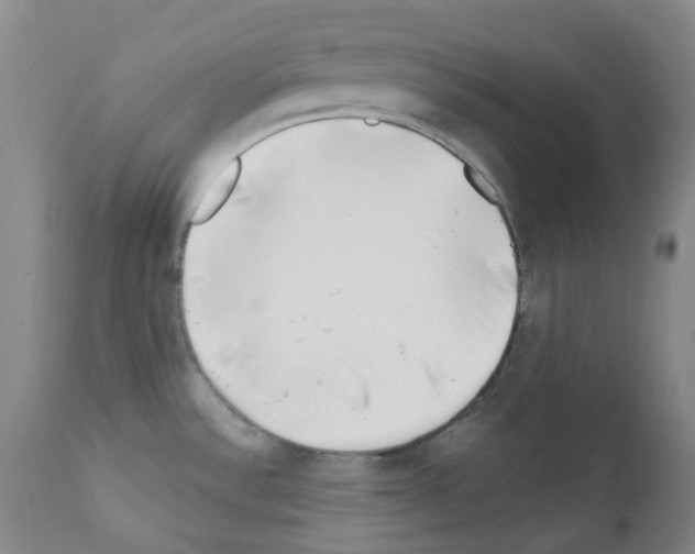 X0000111781532200909031121