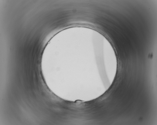 X0000111781533200909031121