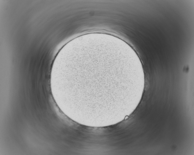 X0000111781534200909031121