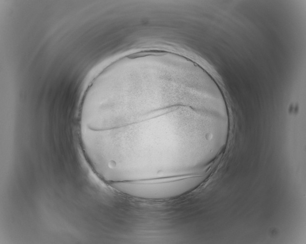 X0000111781536200909031121