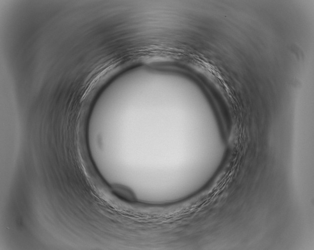 X0000111790001200907230958