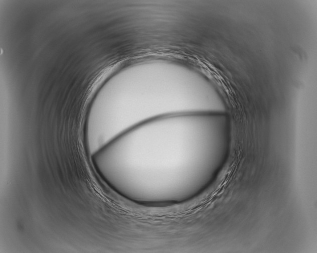 X0000111790003200907230958