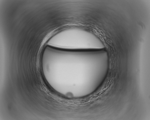 X0000111790004200907230958