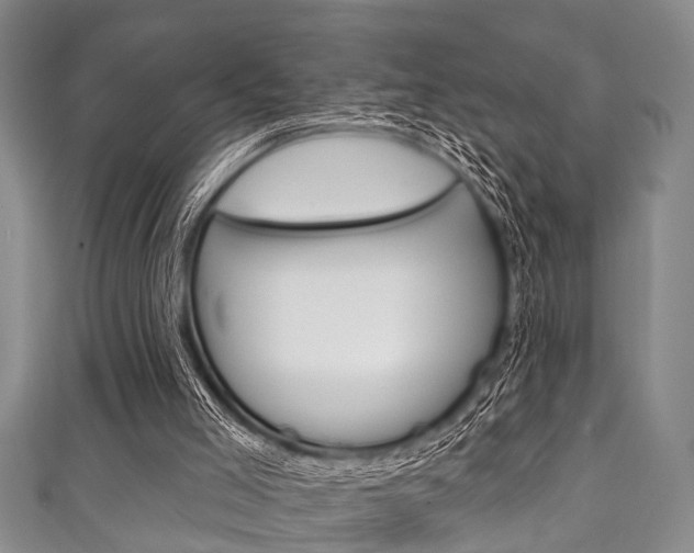 X0000111790005200907230958