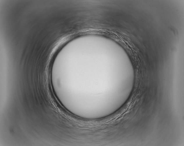 X0000111790006200907230958
