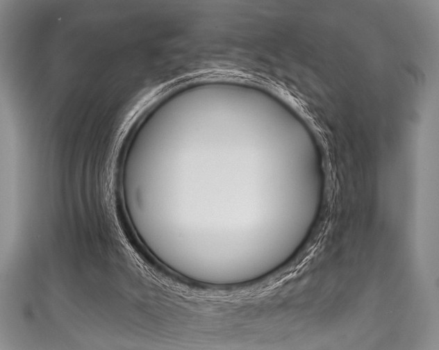 X0000111790007200907230958