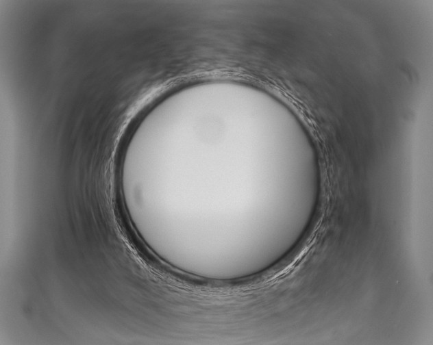 X0000111790008200907230958