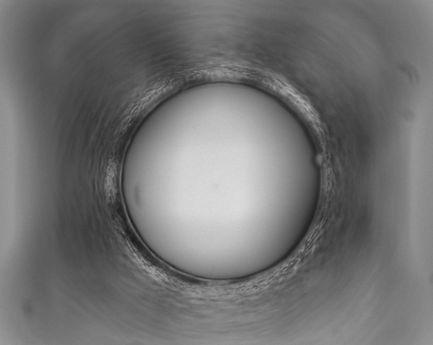 X0000111790009200907230958