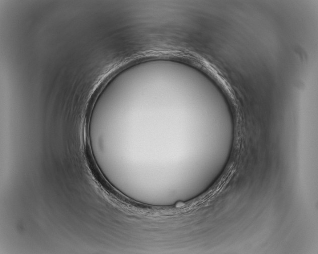 X0000111790011200907230958