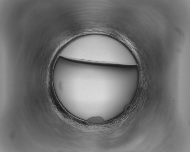 X0000111790012200907230958
