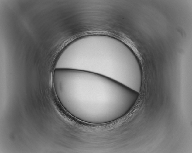 X0000111790013200907230958
