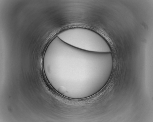 X0000111790014200907230958