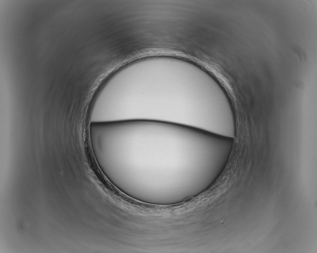 X0000111790015200907230958