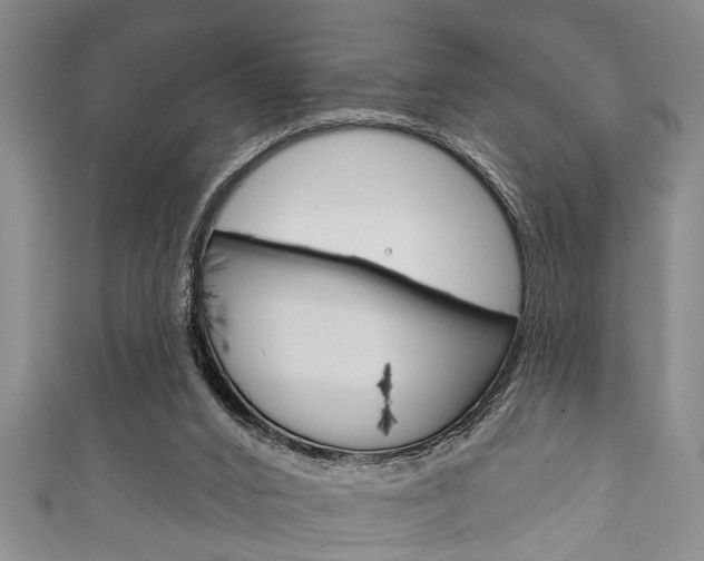 X0000111790016200907230958