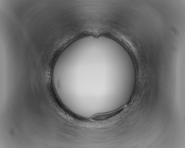 X0000111790017200907230958