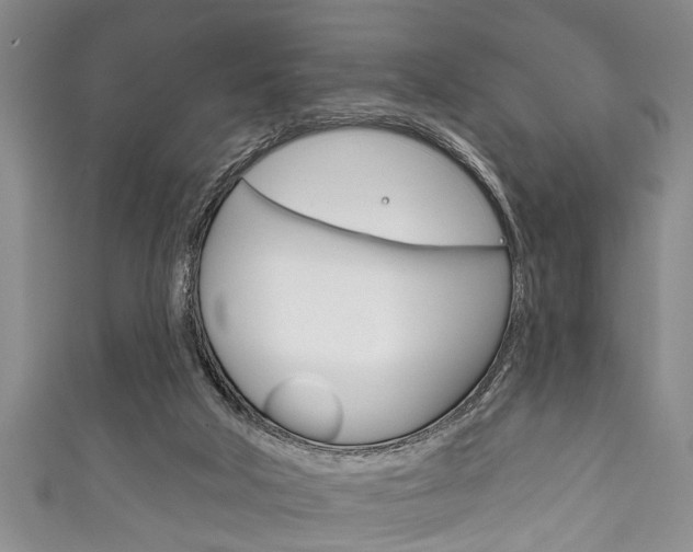 X0000111790018200907230958