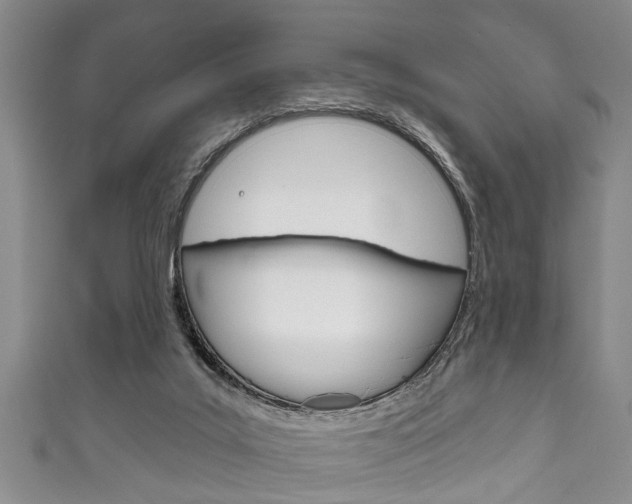 X0000111790019200907230958