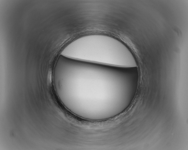 X0000111790021200907230958