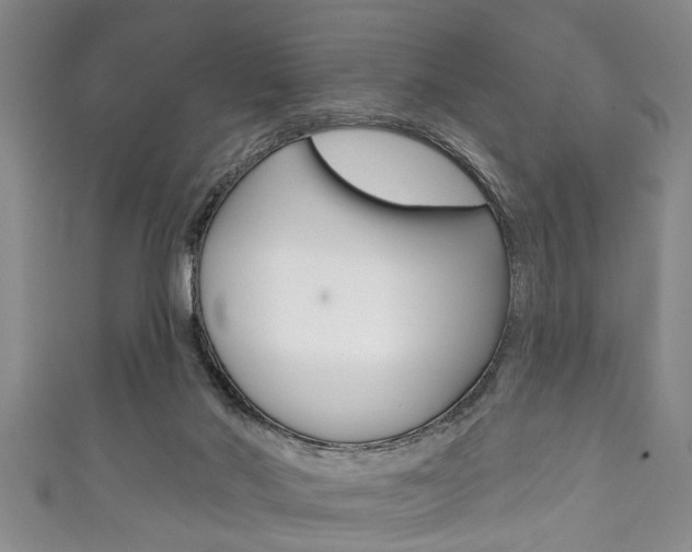 X0000111790022200907230958