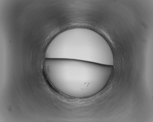 X0000111790023200907230958