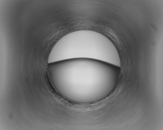 X0000111790029200907230958