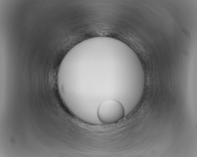 X0000111790030200907230958
