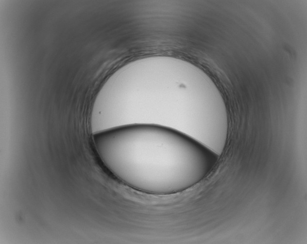 X0000111790035200907230958