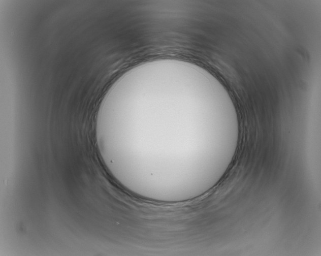 X0000111790036200907230958