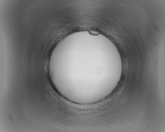 X0000111790038200907230958