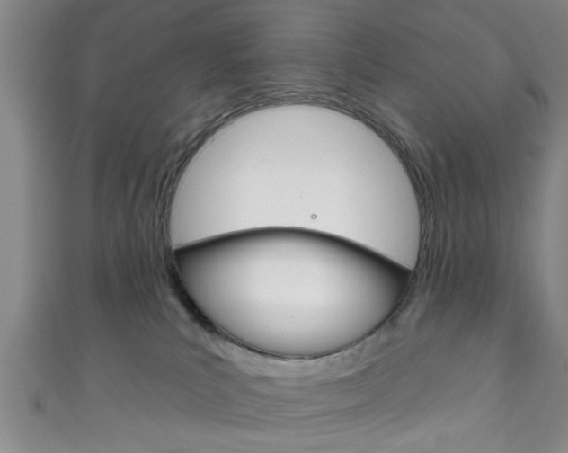 X0000111790039200907230958