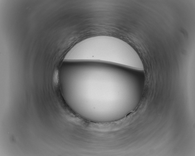 X0000111790041200907230958