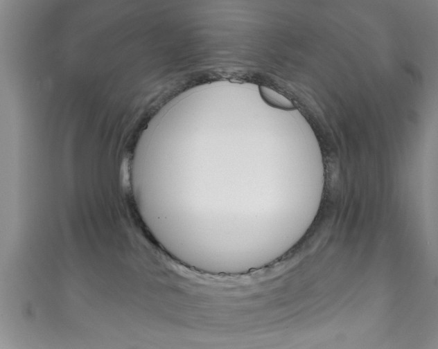 X0000111790042200907230958