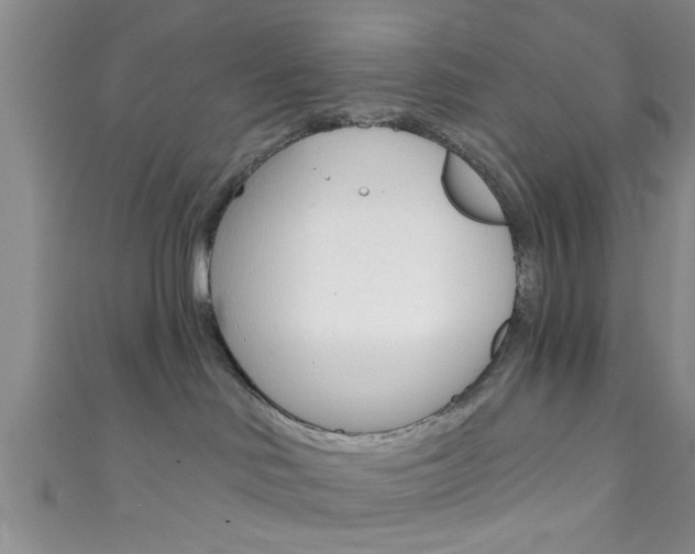 X0000111790046200907230958