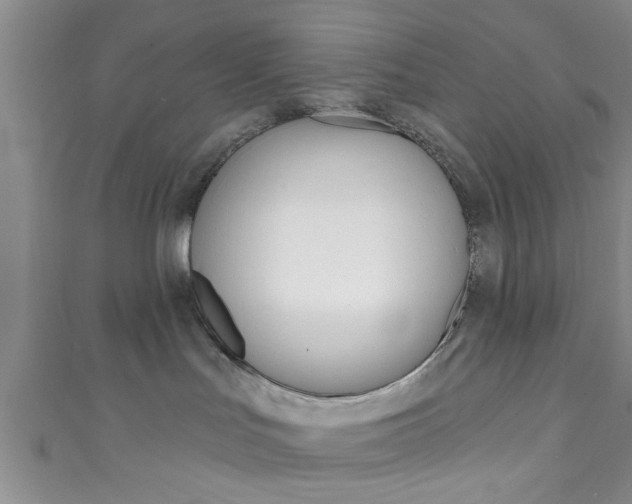 X0000111790047200907230958