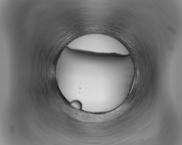 X0000111790048200907230957