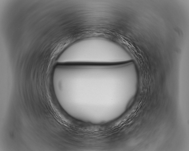X0000111790049200907230957